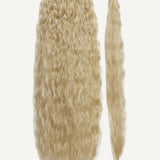 Front Rae Tousled Texture 22 Inch and 26 Inch Blonde Blend Wrap Around Salon Quality Synthetic DIY Qcura Ponytail Hair Extension