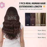 #4 Light Brown Signature Solid 7-Piece Remy Clip-In Essential